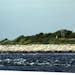 ORIENT POINT, NY- 7/30/15- The original lighhouse on Plum Island, dating back to 1869, stands on th eend of the island facing Plum Gut, an area of str