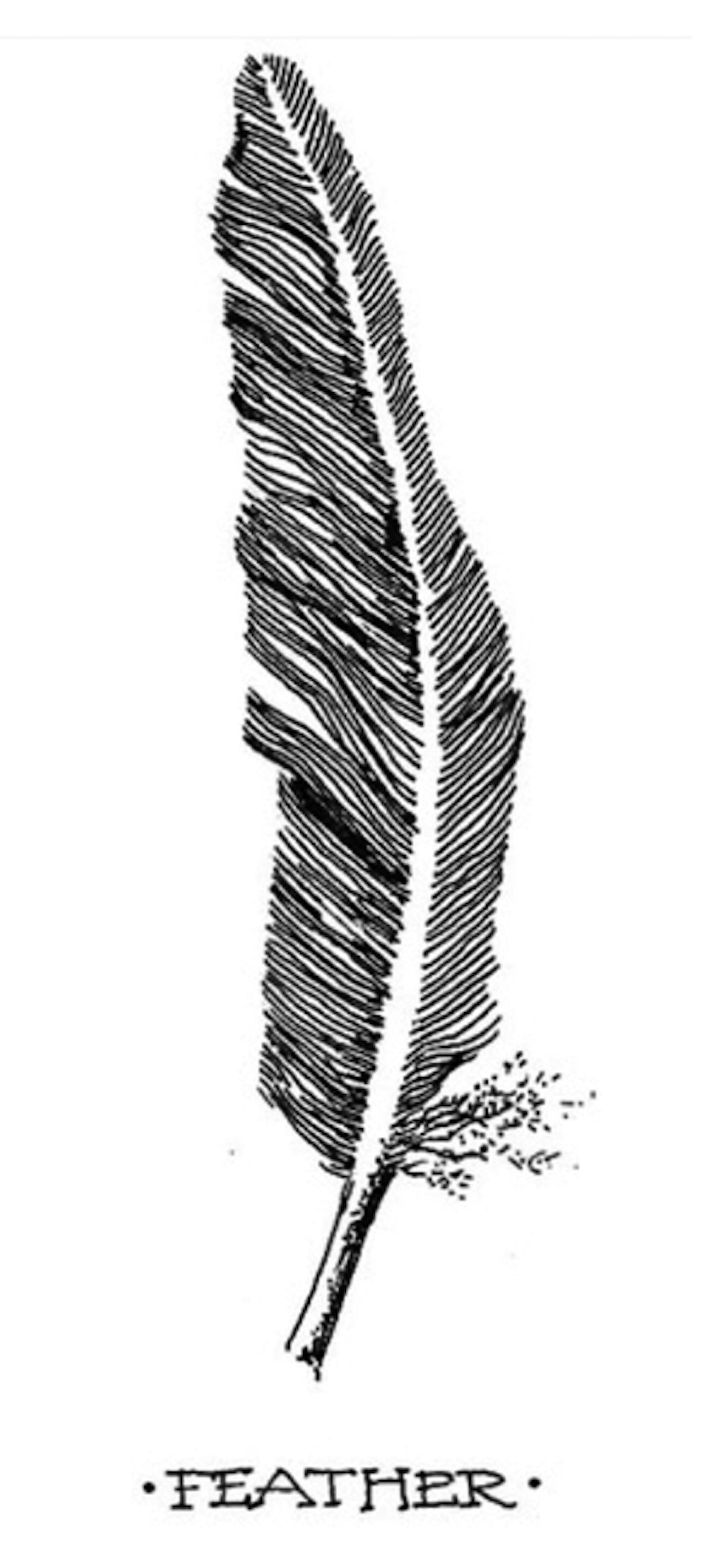 Feather illustration by Ellen Meloy, from "Seasons," by Ellen Meloy, Torrey House Press.