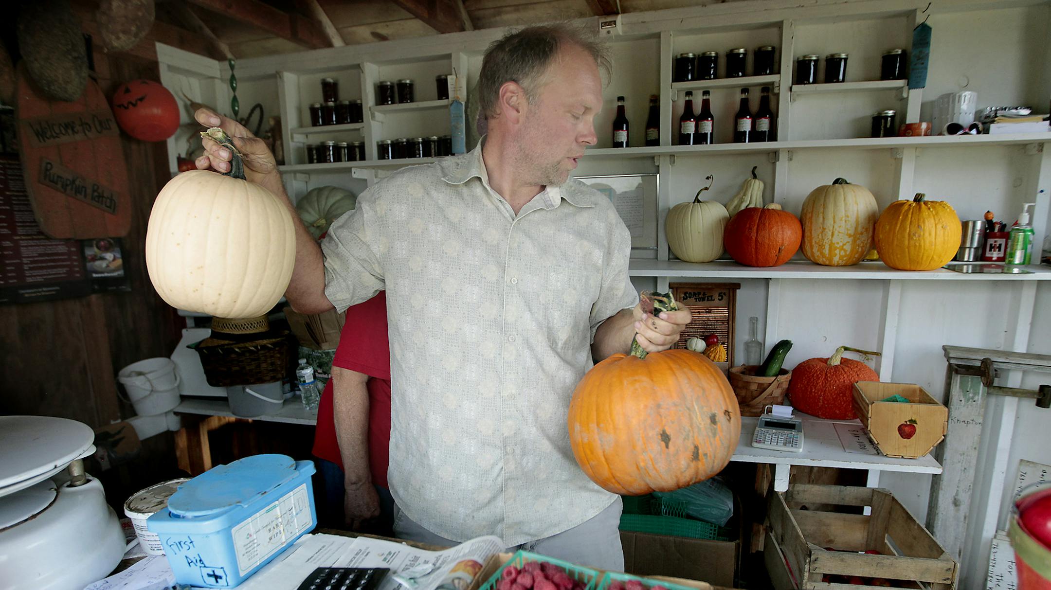 Gabe Knaptson sold pumpkins at Knaptson Orchards, Thursday, August 4, 2014 in Greenfield, MN. ] (ELIZABETH FLORES/STAR TRIBUNE) ELIZABETH FLORES • eflores@startribune.com