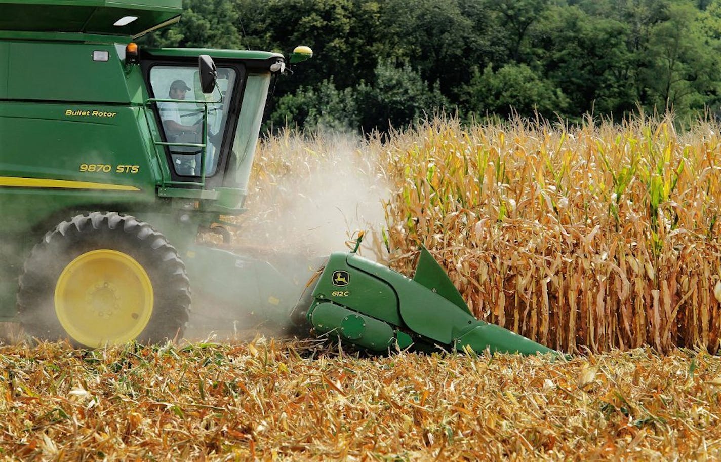 Minnesota crop growers dodged the nationwide drought with a strong harvest at a time of high grain prices.