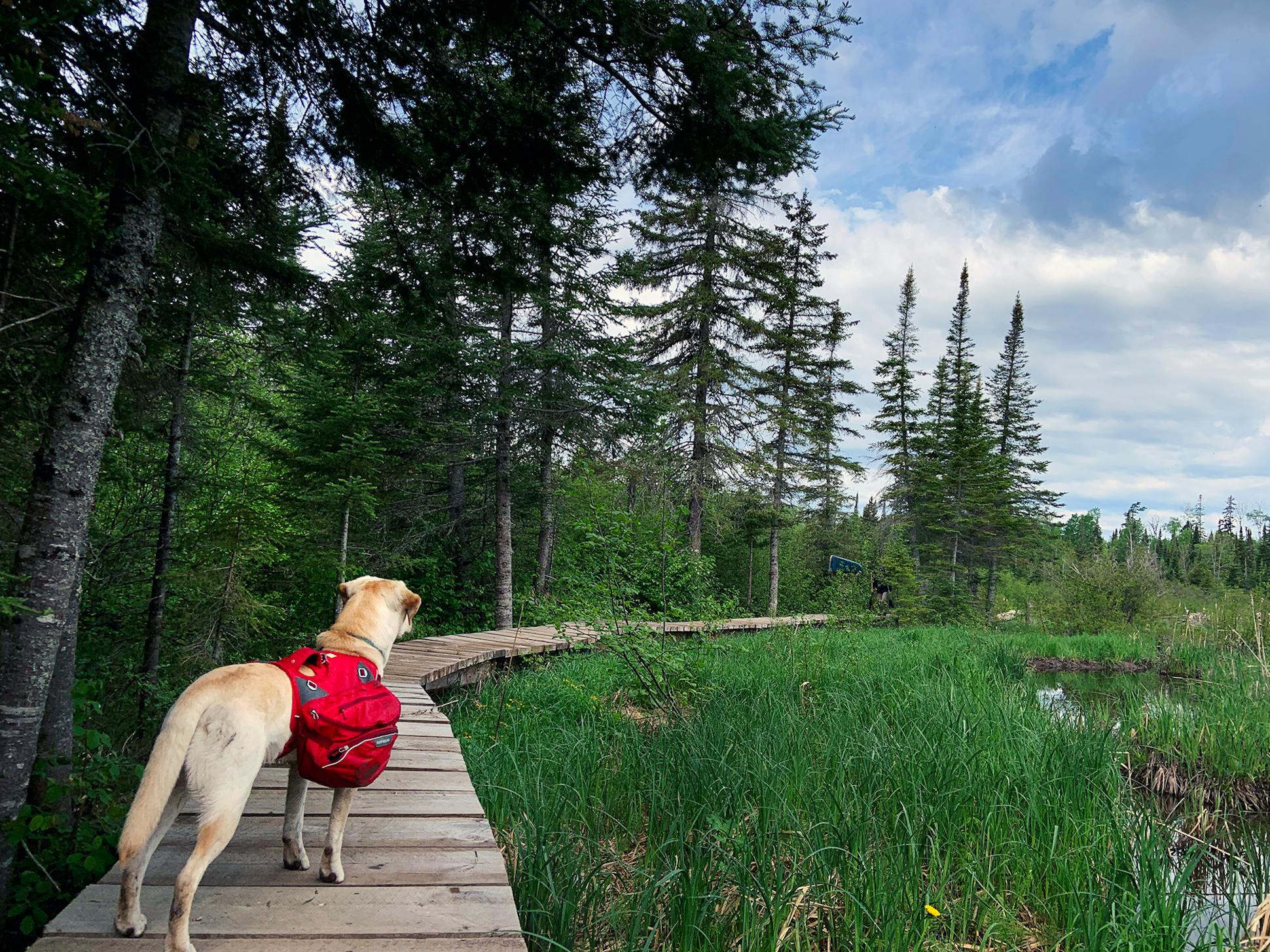 Crosby waited for Tony Jones and Nick Timmons along the Beaver Pond section of the Grand Portage.