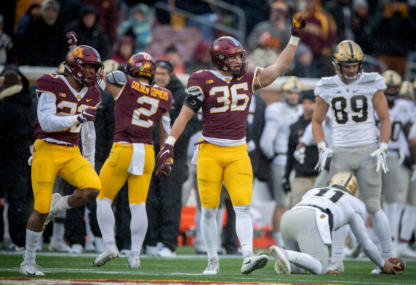 Minnesota linebacker Blake Cashman celebrated after sacking Purdue quarterback David Blough during the second quarter Saturday at TCF Bank Stadium.