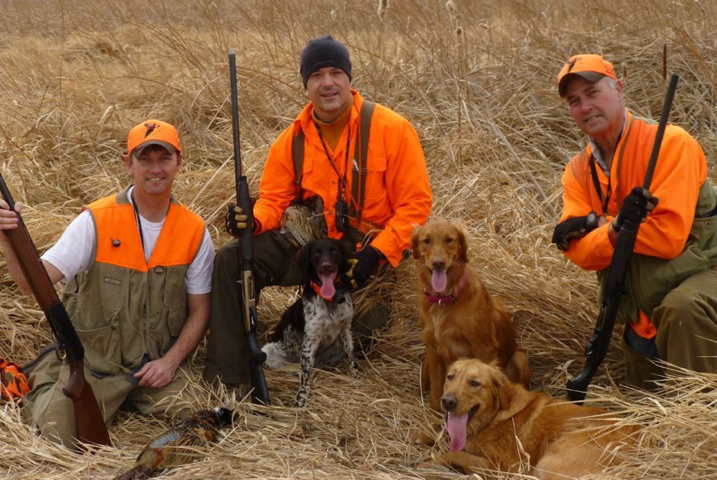 Bella, the golden retriever on the far right, died in a Conibear trap in December.