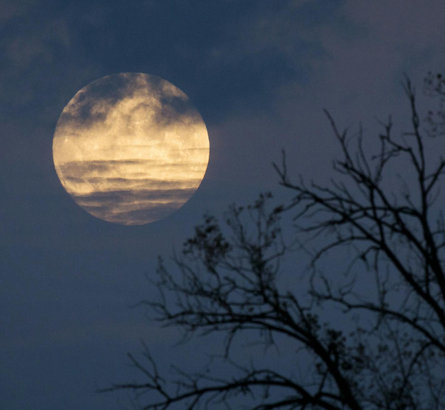 Spooky moon- outdoors fall halloween essay - Brian Peterson - star tribune