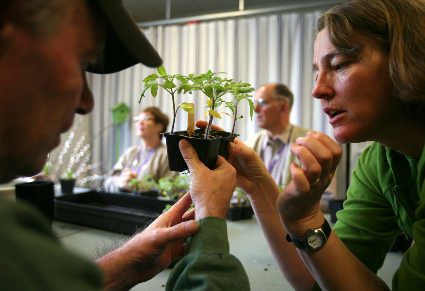 Jeannie Larson (right), with the Center for Therapeutic Horticulture at the University of Minnesota Landscape Arboretum, works with Jon Boller to transplant tomato plants into larger containers. Larson works one day each week at the Struther's Parkinson Center in Golden Valley using horticulture therapy to help those suffering with Parkinsons disease.