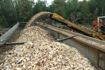 Logging site chipping unmerchantable timber, storm damaged timber, or invasive species infested timber to be burned for power generation.