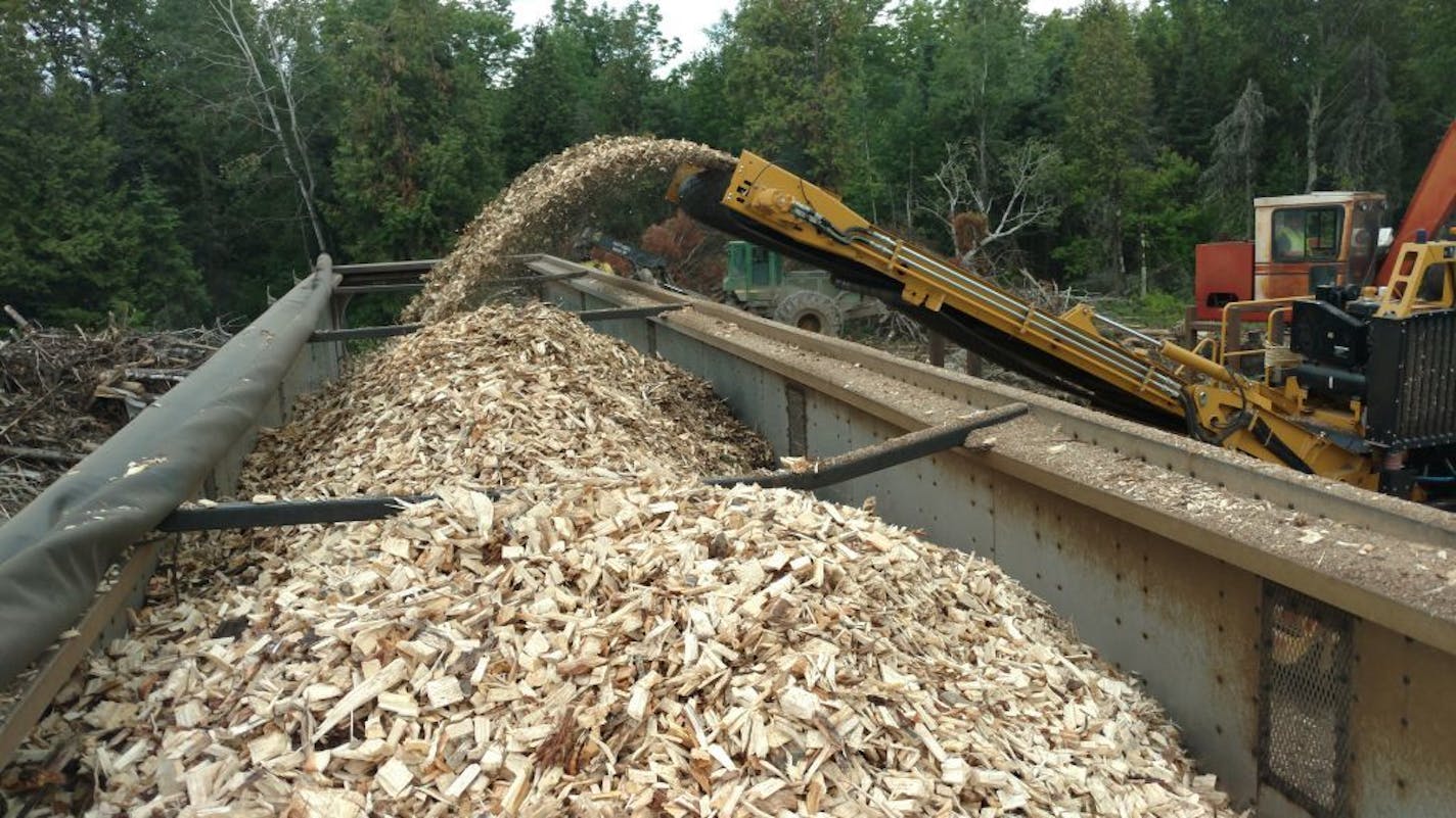 Logging site chipping unmerchantable timber, storm damaged timber, or invasive species infested timber to be burned for power generation.