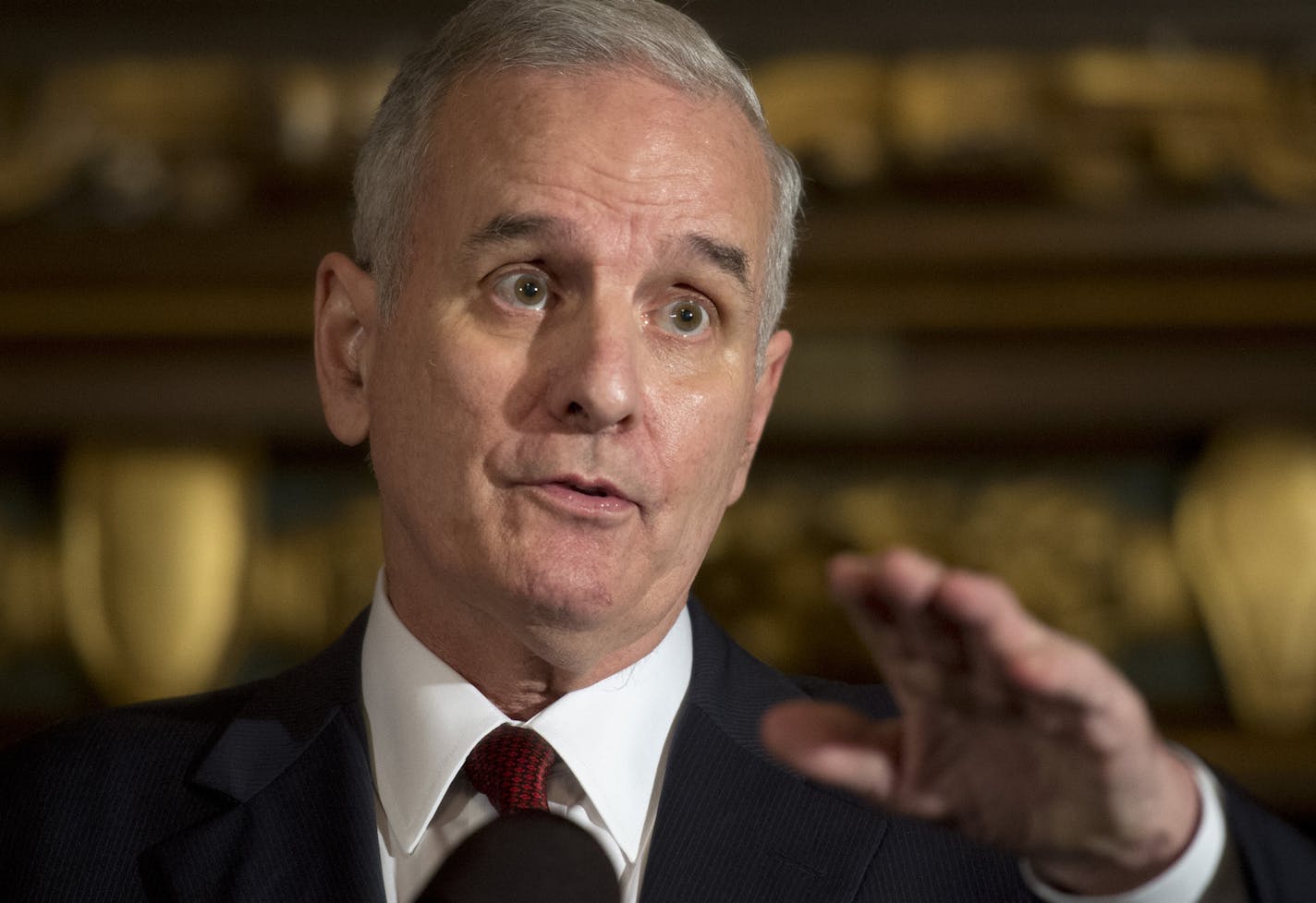 Gov. Mark Dayton