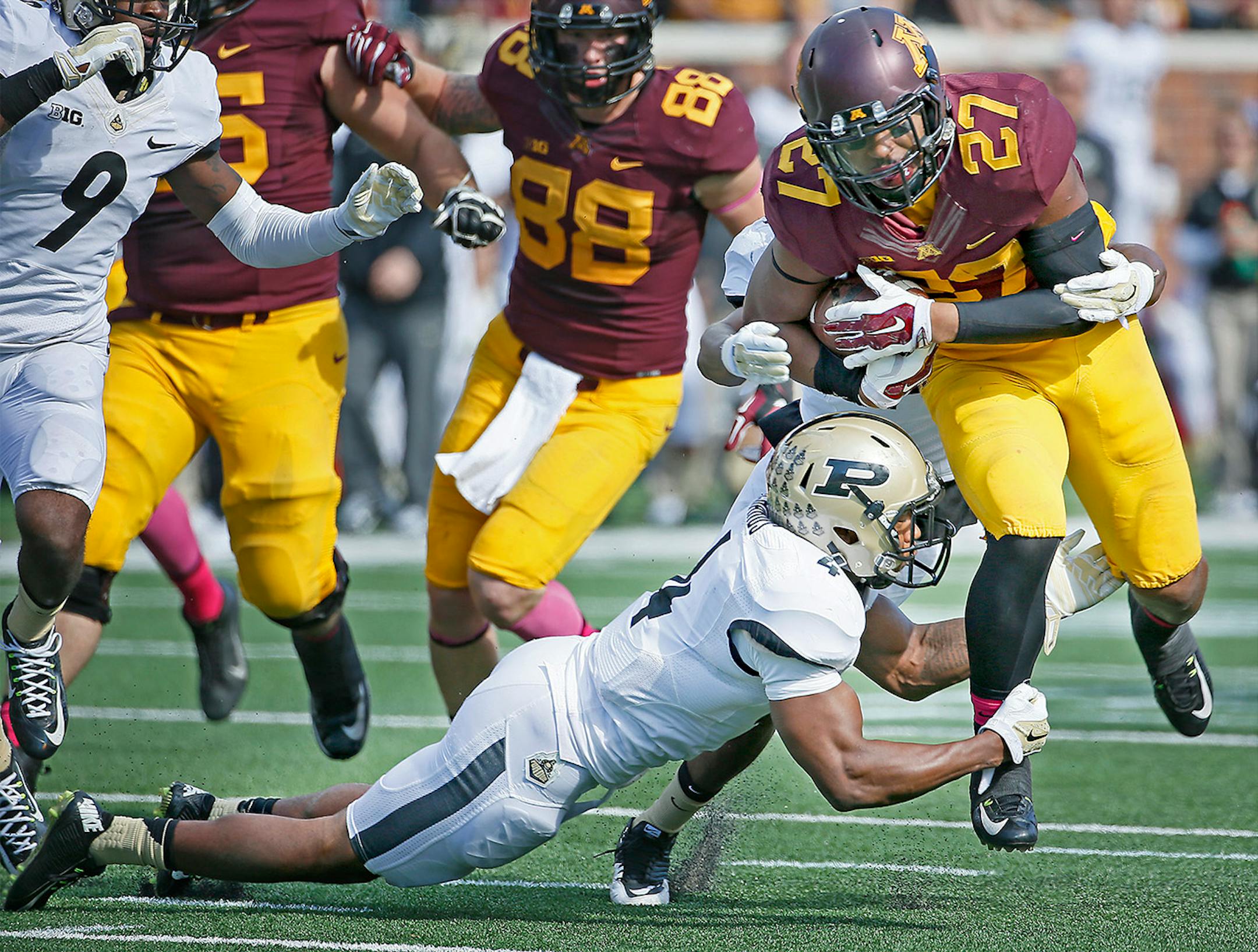 Gophers' running back David Cobb (27) rushed for yards near the goal line against Purdue.
