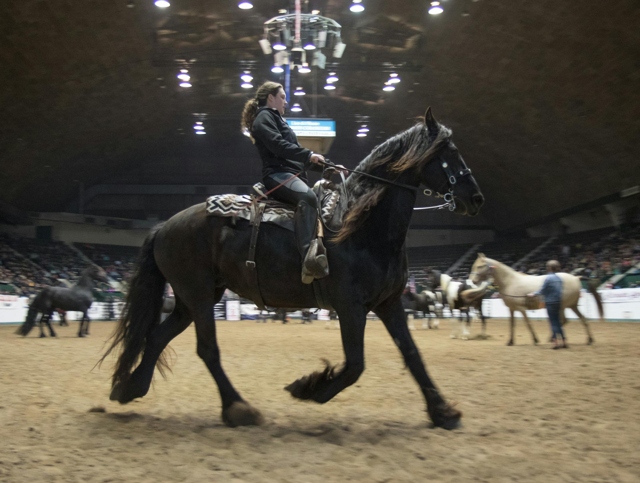 Horse breed demonstrations inside the Warner Coliseum at the 2017 Minnesota Horse Expo. Photo By: Matt Weber