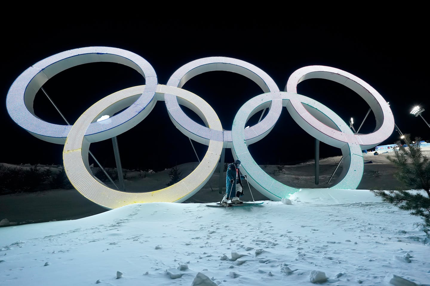 June 22. It is said that when sitting in the Whistler Olympic Rings, you  can feel the spirit of all the Olympians. | Daily pictures, Exotic pets,  Olympians