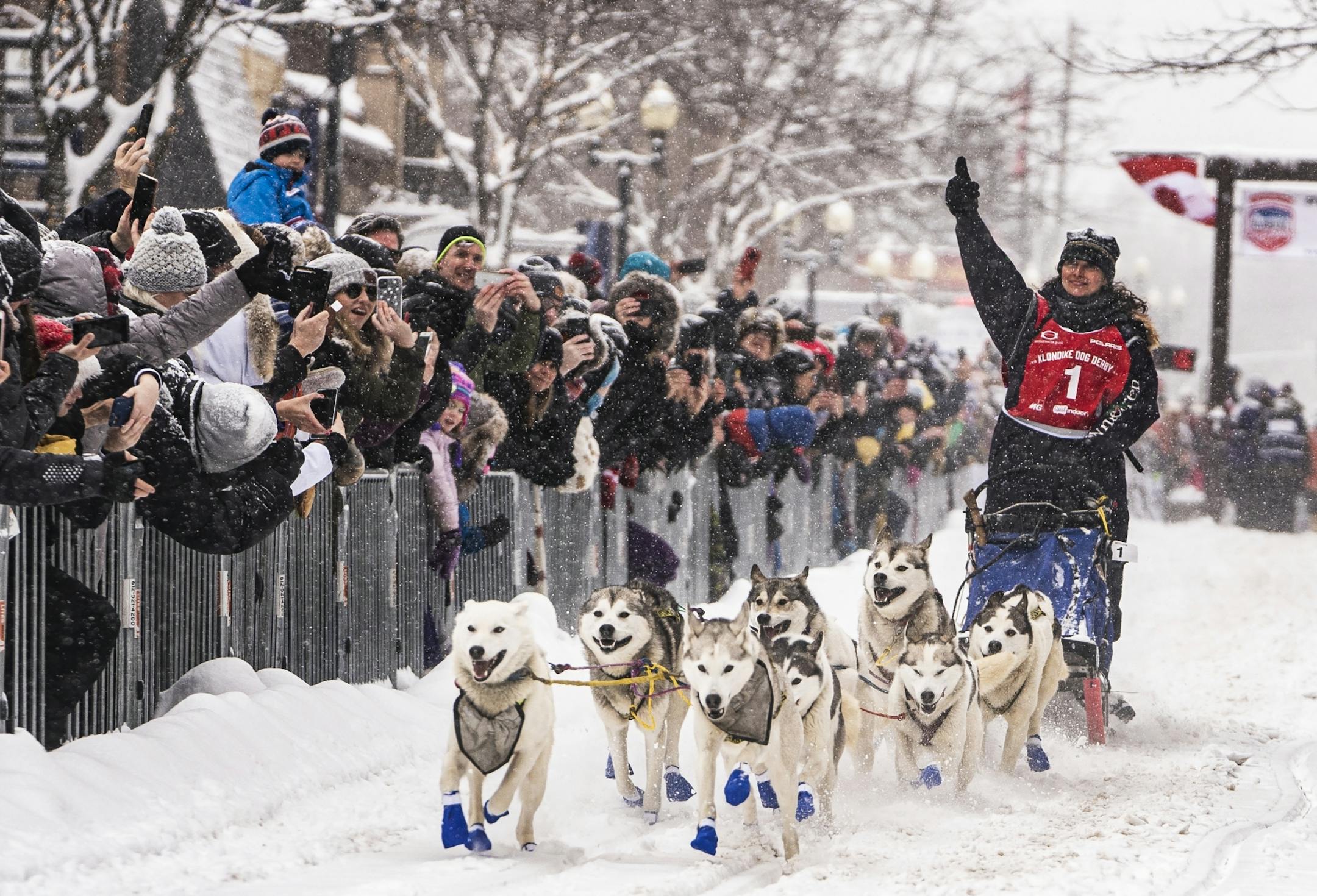 Jennifer Freking (1) of Findand was the first musher out of the gates for the 40-mile race.