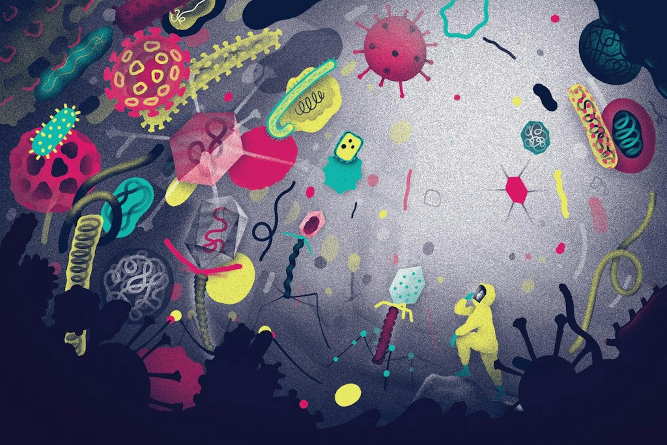 SARS-CoV-2, the cause of the pandemic, belongs to one of 6,828 named species of virus. Hundreds of thousands more species are known, with perhaps trillions waiting to be found.