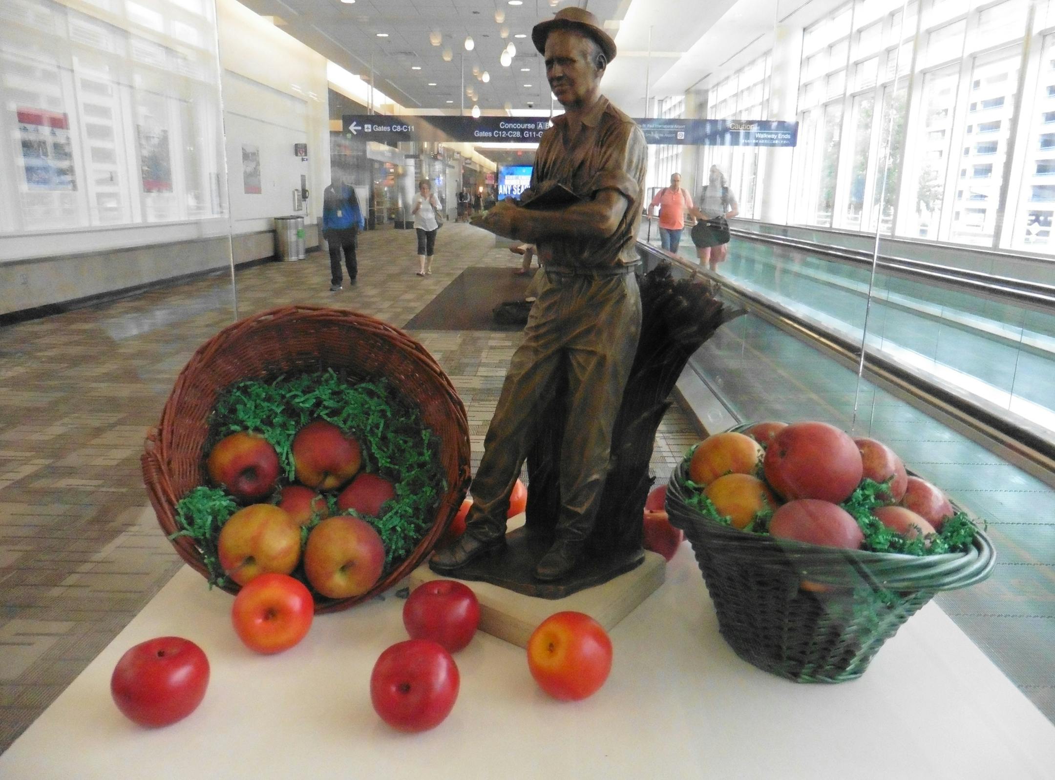 Agricultural scientist Norman Borlaug and Honeycrisp apples are represented in “The Art of Food” exhibit at Minneapolis-St. Paul International Airport.