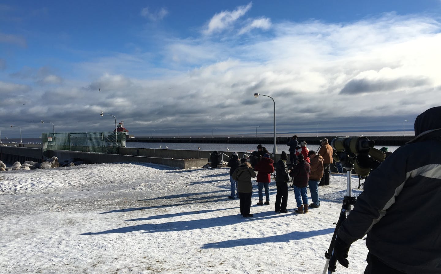 This was right after the gull took off. And people were all looking at their cameras to see what their shots were like.