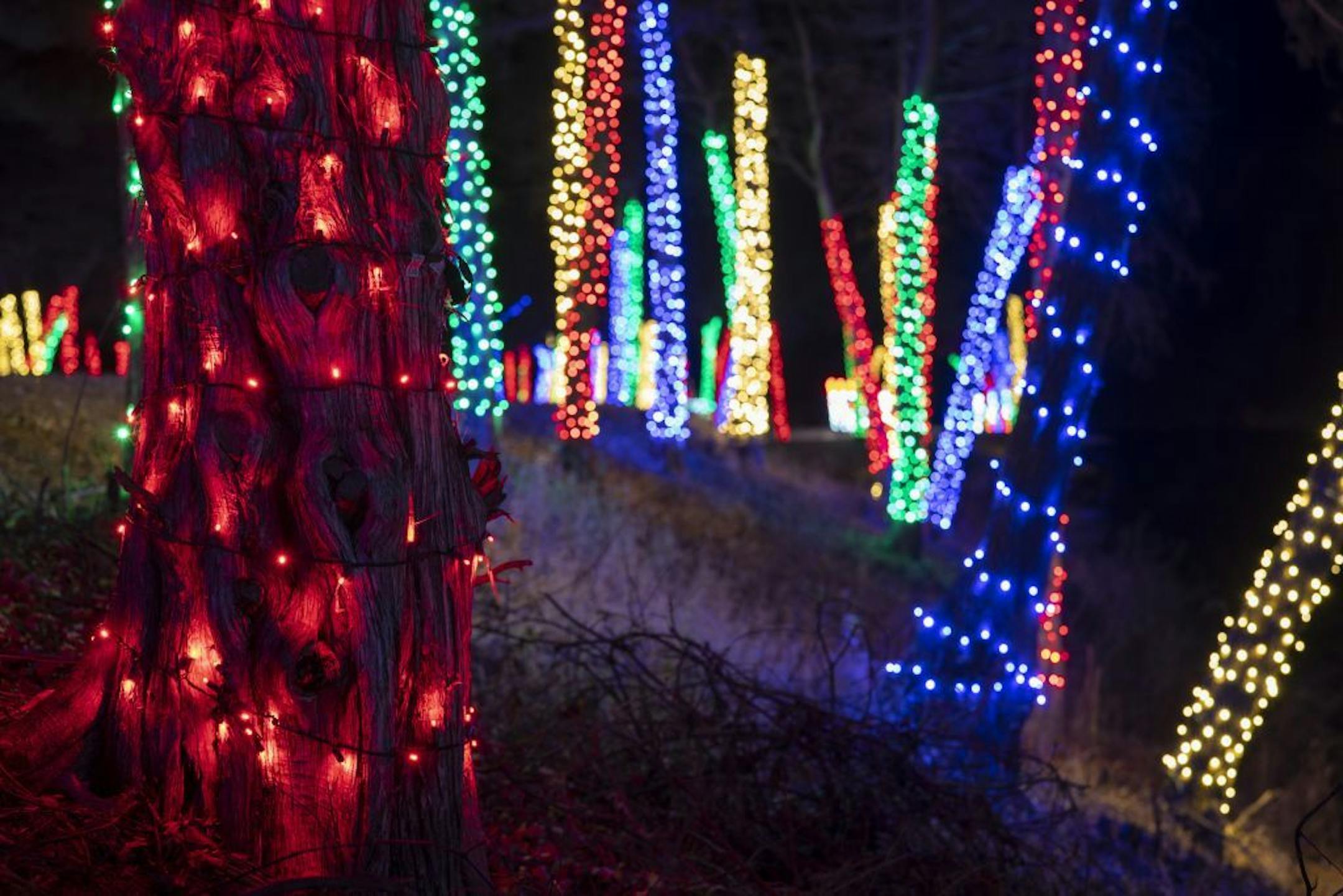 Trees throughout the village are wrapped in colored lights.