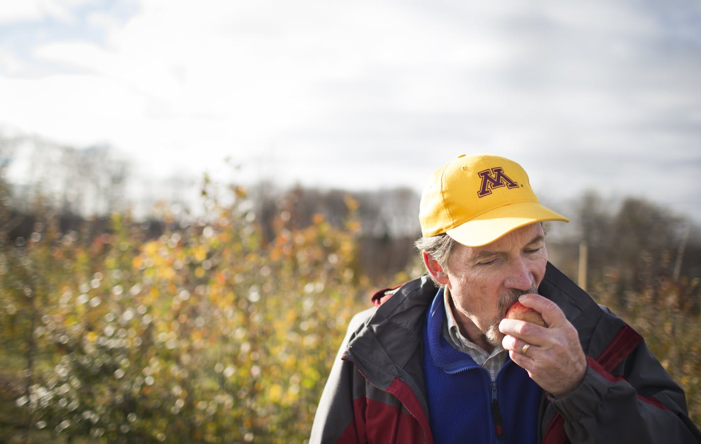 David Bedford tasted an apple at the University of Minnesota apple orchard on Wednesday, October 29, 2014 in Excelsior, Minn. ] RENEE JONES SCHNEIDER &#x2022; reneejones@startribune.com