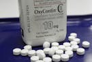 FILE - This Feb. 19, 2013, file photo, shows OxyContin pills arranged for a photo at a pharmacy in Montpelier, Vt. With an overdose epidemic worsening