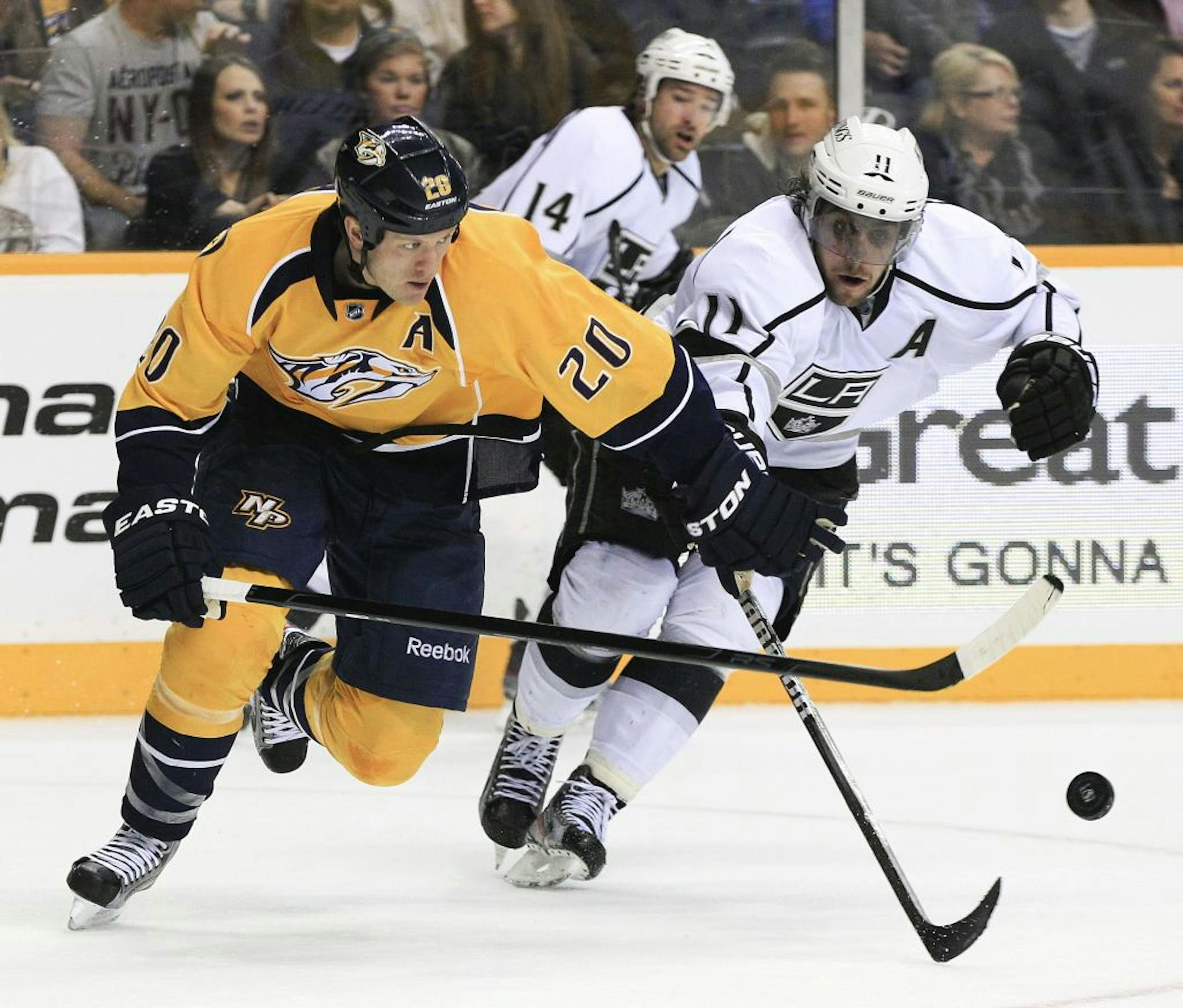 Nashville Predators defenseman Ryan Suter (20)