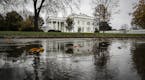 The White House is reflected in a puddle, during a rain in Washington, on Thursday, Nov. 12, 2020. It's not exactly a stampede, but the number of Repu