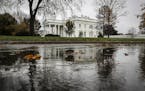 The White House is reflected in a puddle, during a rain in Washington, on Thursday, Nov. 12, 2020. It's not exactly a stampede, but the number of Repu
