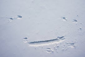 The animal who made this track on the lake at Elm Creek Regional Park slipped on the ice, which is what made the long track at the bottom. Volunteers 