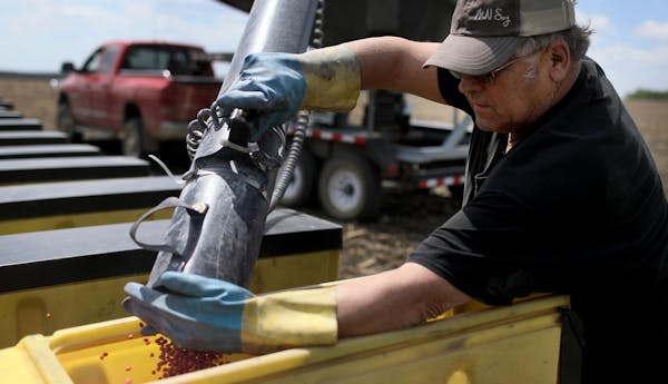 Bob Worth loaded soybean seeds into a planter on the family farm in Lake Benton, Minn.