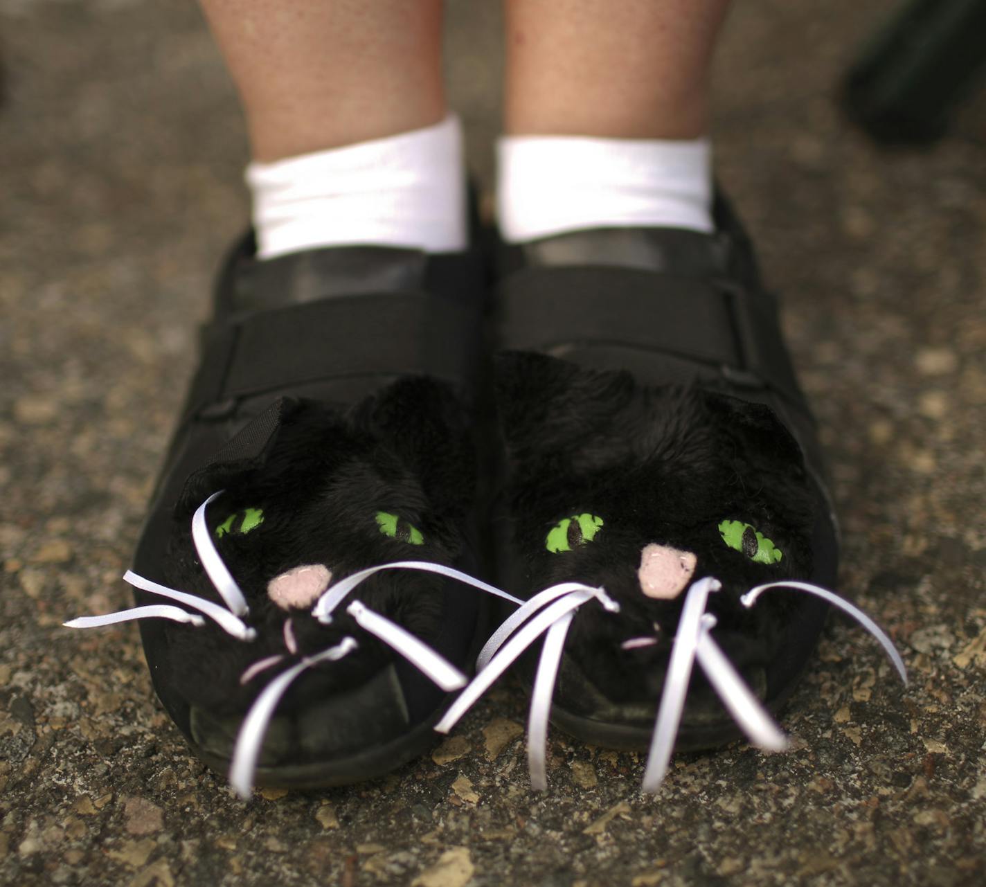 The Walker Art Center held their 2013 Internet Cat Video Festival at the Grandstand at the Minnesota State Fair Wednesday night, August 28, 2013 in Falcon Heights. Jennifer Andrus Castro of Minneapolis had purrfect footwear. ] JEFF WHEELER &#xe2;&#x20ac;&#xa2; jeff.wheeler@startribune.com