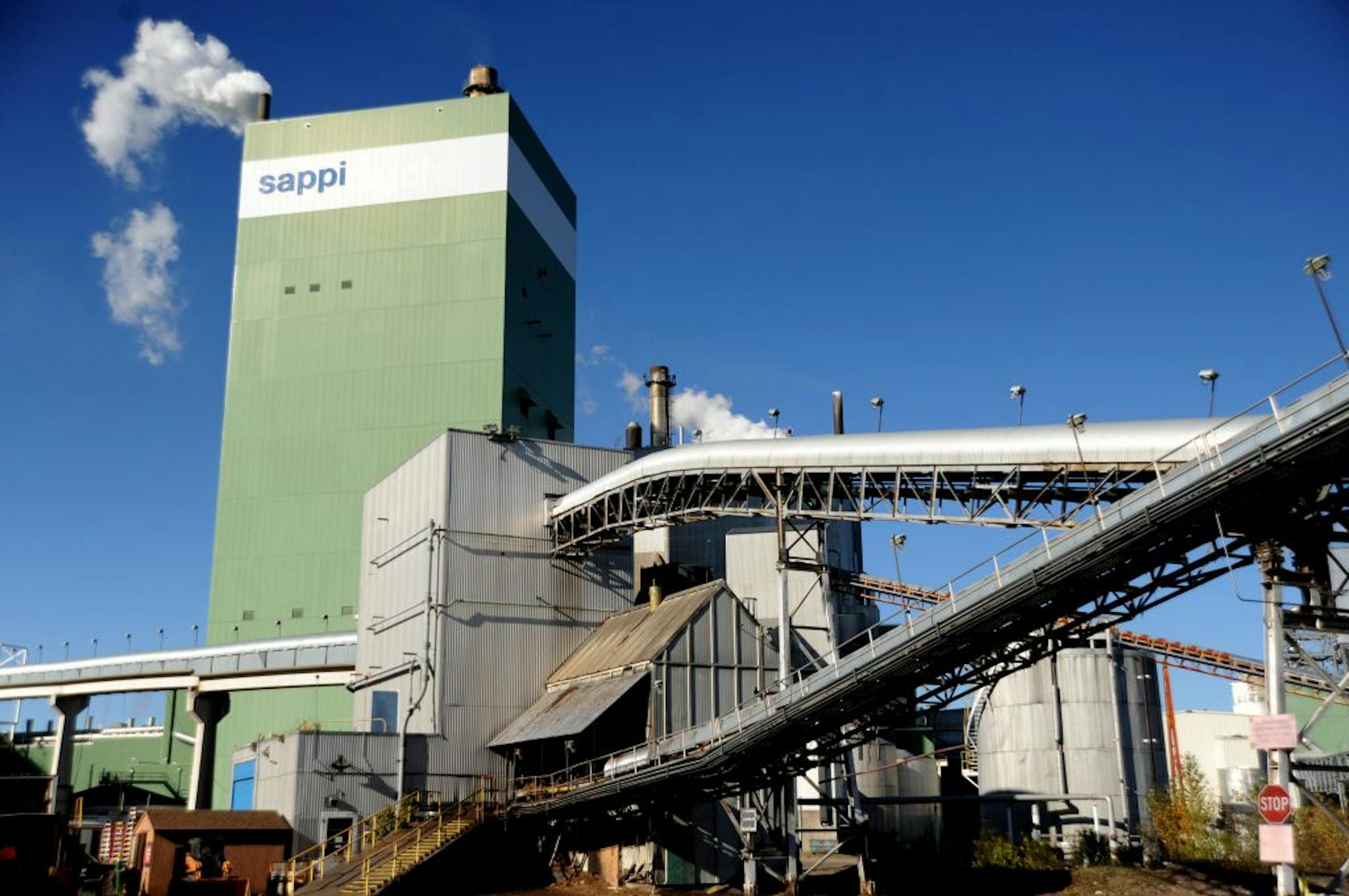 No single product is likely to rescue the state's forest industry, but unless there is innovation, the industry and the mills it fed will continue to decline.