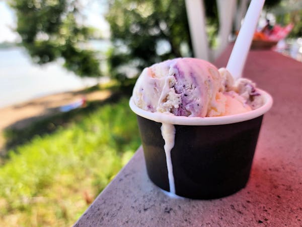 La La’s lemon berry ice cream at the Painted Turtle on Lake Nokomis.