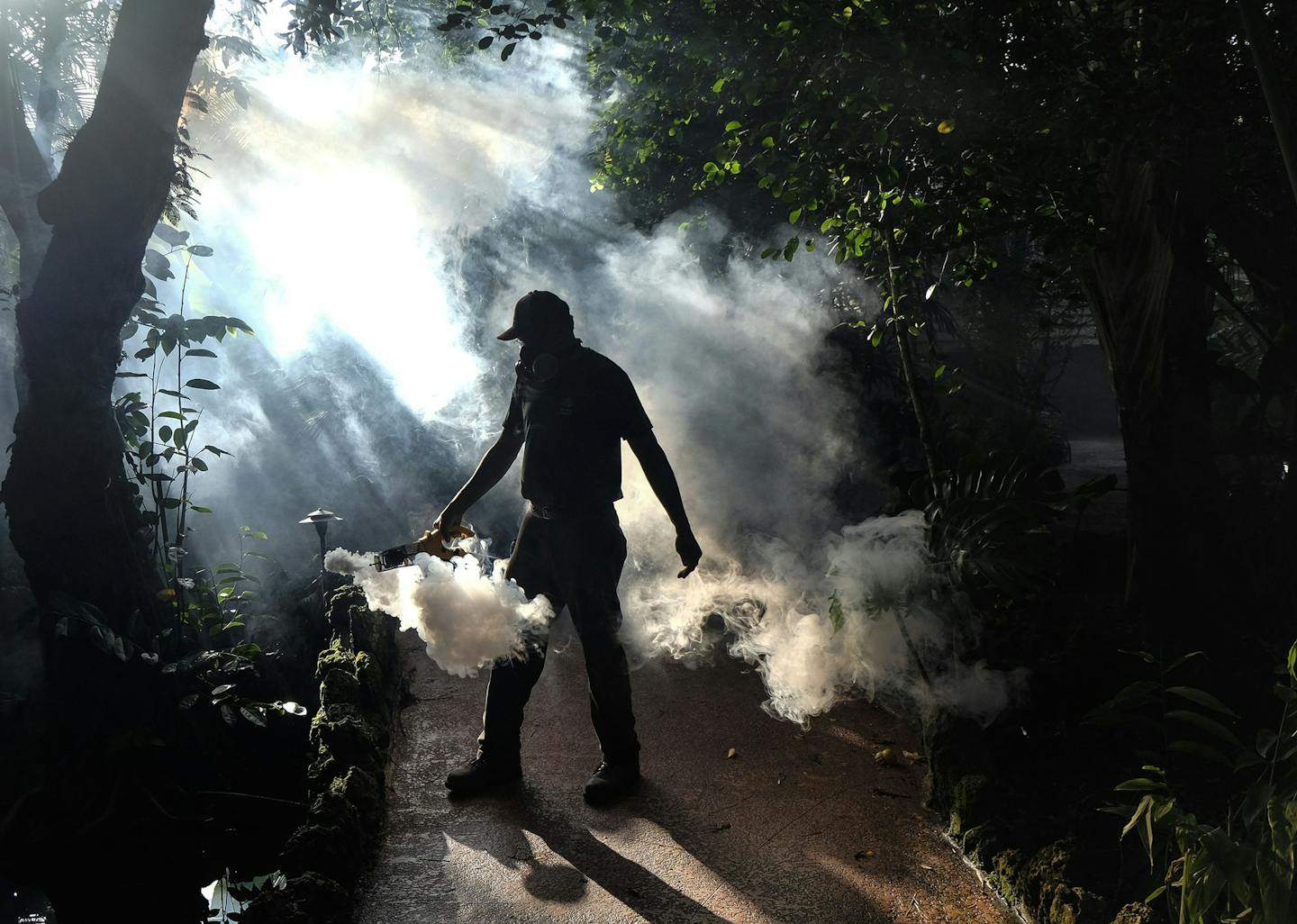 Fran Middlebrooks, a grounds keeper at Pinecrest Gardens, former home of the historic Parrot Jungle, uses a blower to spray pesticide to kill mosquitos in as Miami Dade county fights to control the Zika virus outbreak on August 4, 2016 in Miami, Florida. (Gaston De Cardenas/Miami Herald/TNS) ORG XMIT: 1190636