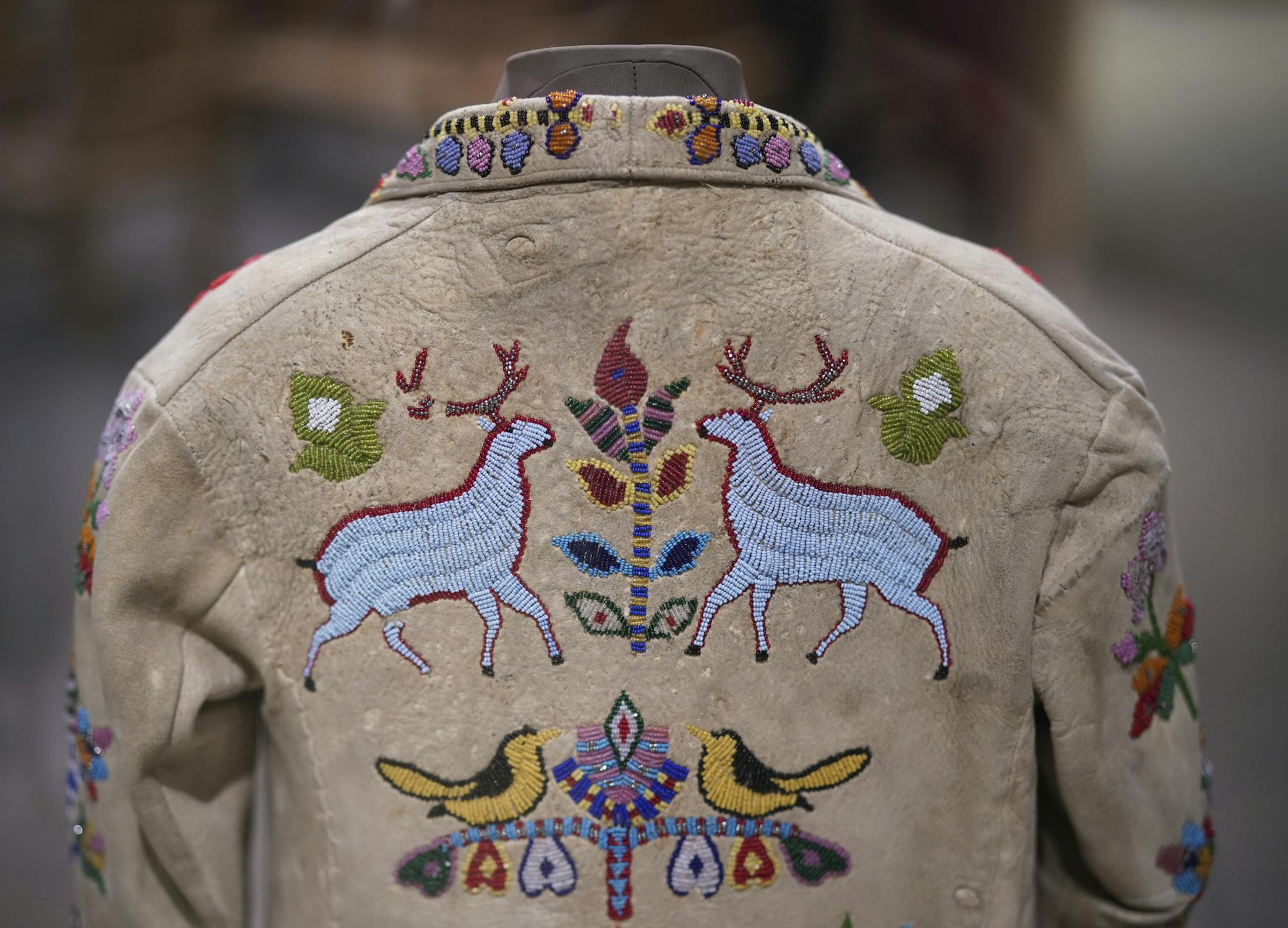 Detail of the beaded back of a child's floral jacket made by a Dakota artist in the late 1800's. ] JEFF WHEELER • Jeff.Wheeler@startribune.com
The ambitious exhibition "Our Home: Native Minnesota" opening Saturday at the Minnesota History Center charts the historical and contemporary connections and history that Dakota and Ojibwe have to this region. The exhibit was photographed ahead of the opening Monday, December 2, 2019 at the museum in St. Paul.