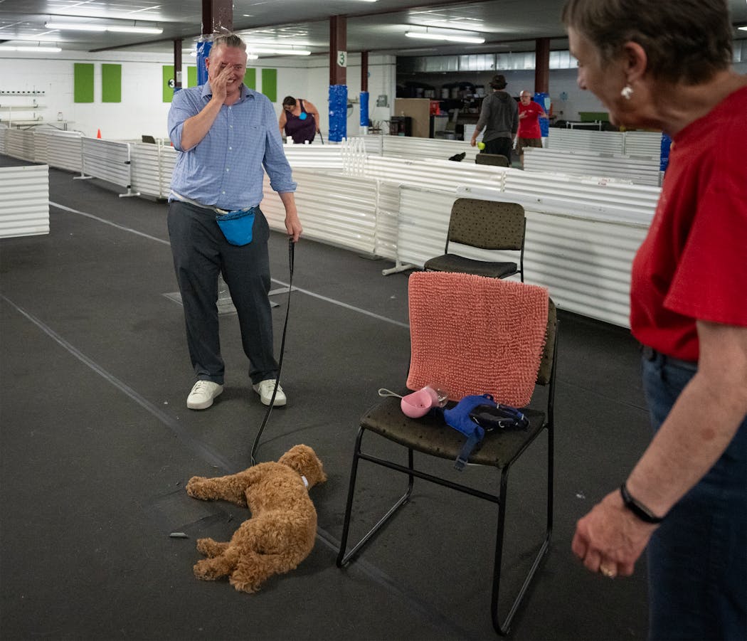 Lyn Wayne, top, laughed as Millie the poodle expressed exhaustion while instructor Jane Jacobson observed during a “Camera Ready: Green Room” class at Twin Cities Obedience Training Center. 