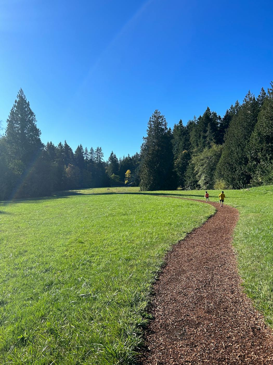 The Bloedel Reserve, a 140-acre nature area of forest, gardens and meadows, feels more than a short ferry trip away from the hustle and bustle of Seattle. 