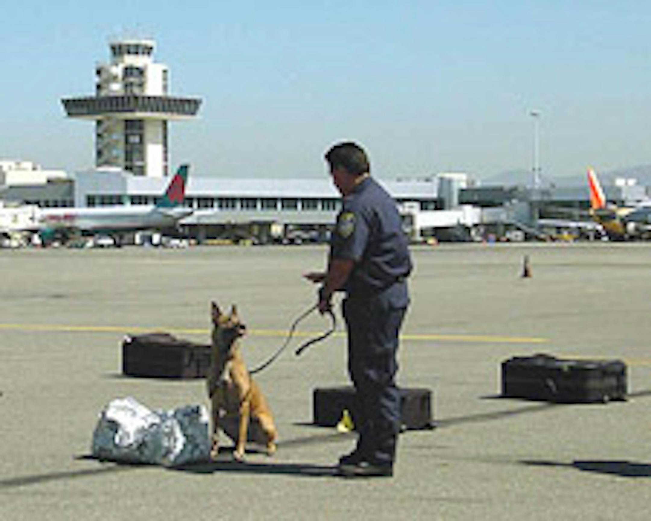 Working dog at an airport