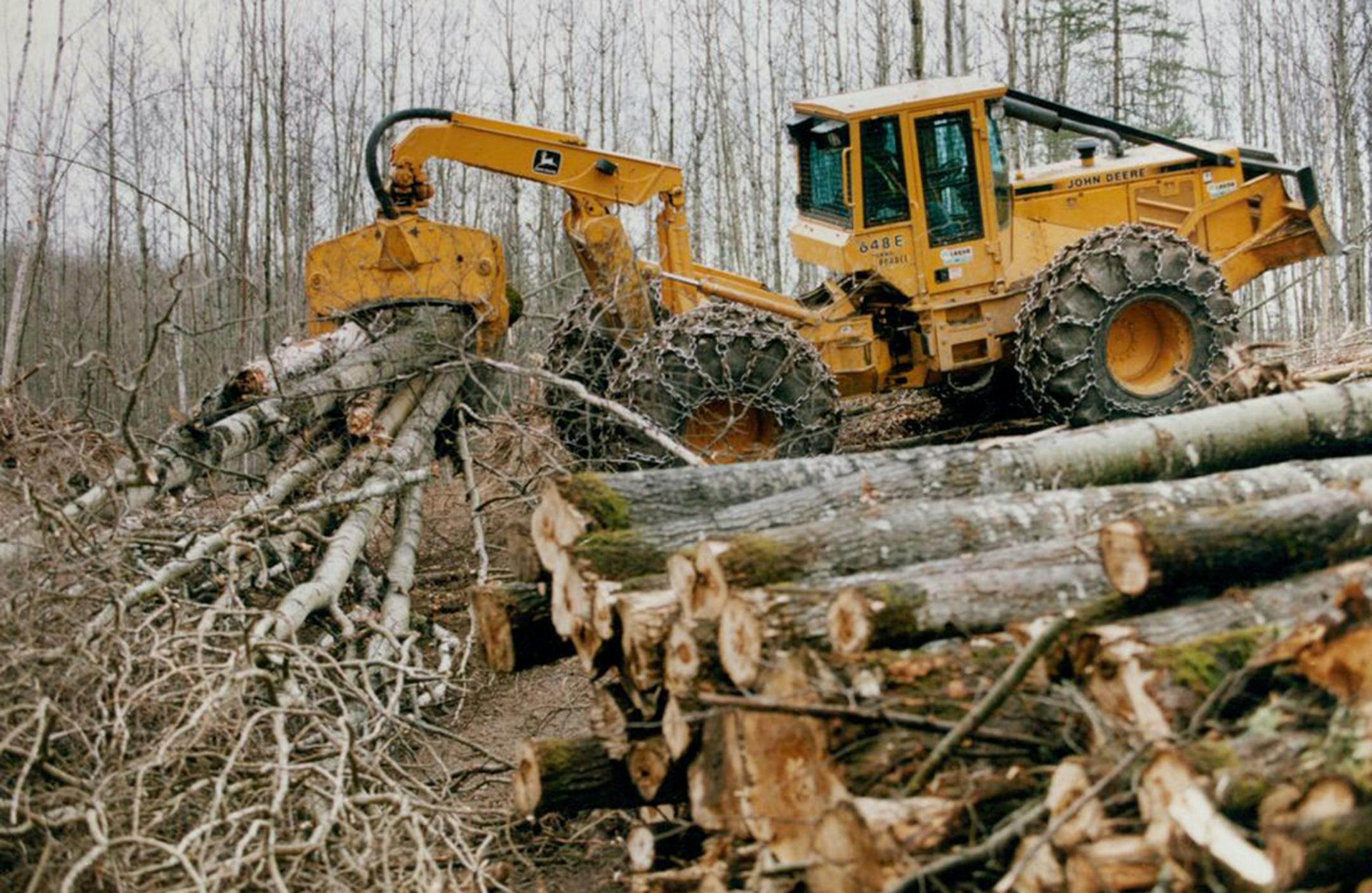 A truck leaves the Chippewa National Forest, in Cass County, Minn., with a load of logs
