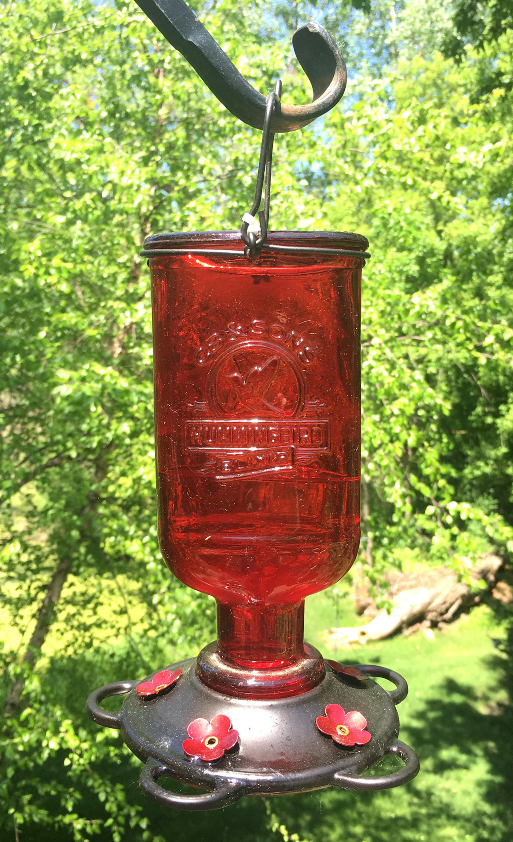 Hummingbird feeder