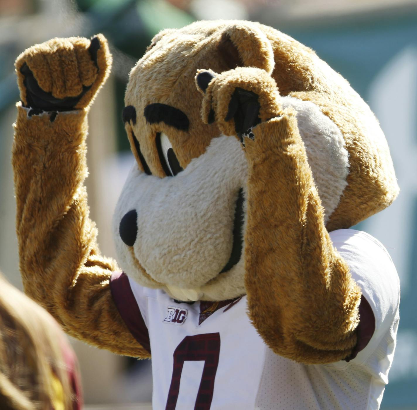 Minnesota Golden Gophers mascot cheers against the Colorado State Rams in the third quarter of an NCAA college football game Saturday, Sept. 12, 2015, in Fort Collins, Colo. Minnesota won 23-20 in overtime. (AP Photo/David Zalubowski)