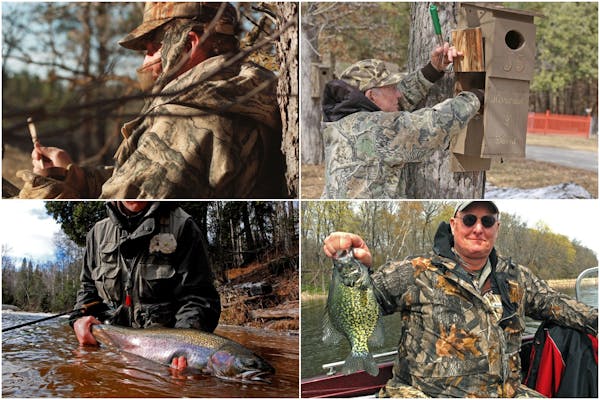 April, in past years, would mark (clockwise from top left) scores of turkey hunters afield in camouflage; spot checks of houses that harbor wood ducks