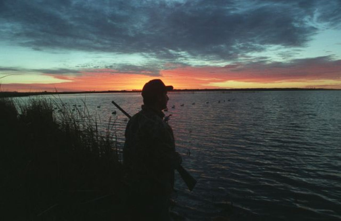 Waterfowl hunting