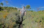 Neil Smarjesse, a National Park Service Land Manager and Biologist, made his way through Coldwater, Tuesday, September 13, 2016 in Minneapolis, MN. Th