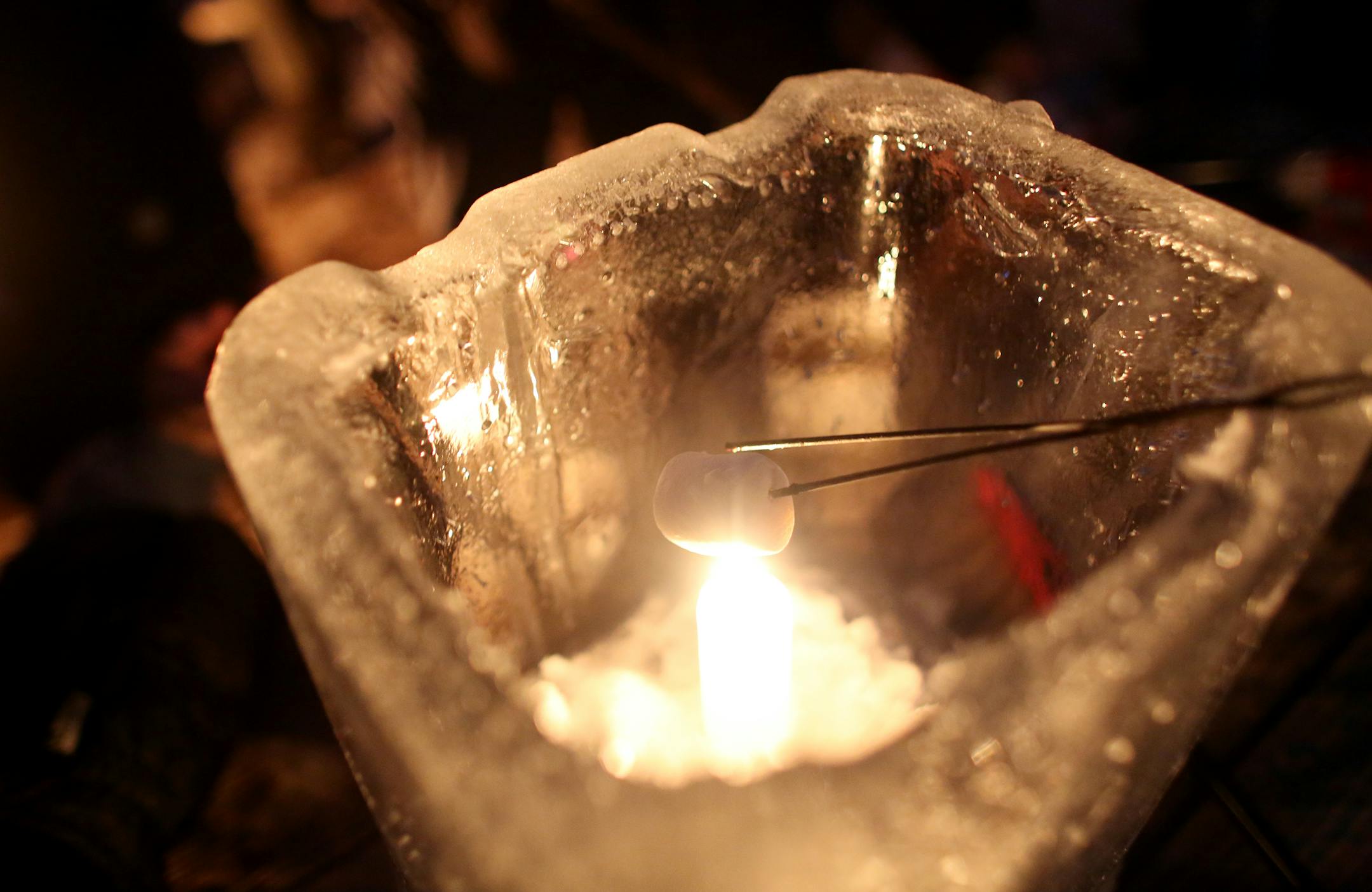 A walk along the Luce Line State Trail included roasting marshmallows.