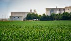 The Puris plant in Dawson, Minn. The country’s leading pea protein producer has won an initial tariff case against Chinese producers that are report