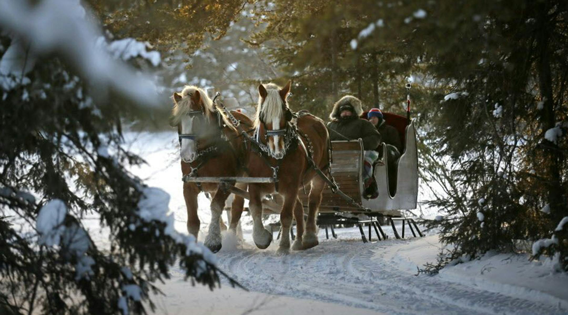 For 20 years, Mark and Nancy Patton and their extended family have been offering sleigh rides through their Gunflint Trail property, attracting visitors from all over the US and over 40 countries to enjoy the Northern Minnesota winter. ] Minnesota -State of Wonders, Arrowhead in Winter BRIAN PETERSON &#x2022; brian.peterson@startribune.com Grand Marais, MN 2/14/2014 ORG XMIT: MIN1403041606441128 ORG XMIT: MIN1612141504181100