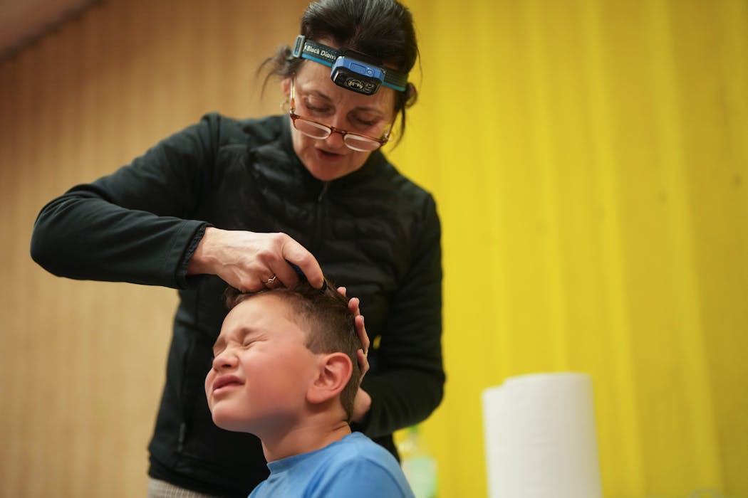 Gonne Asser, who owns the business Minnesota Lice Lady, checks Ben, 7, for lice by combing with a nit comb during a “lice party” in St. Paul.