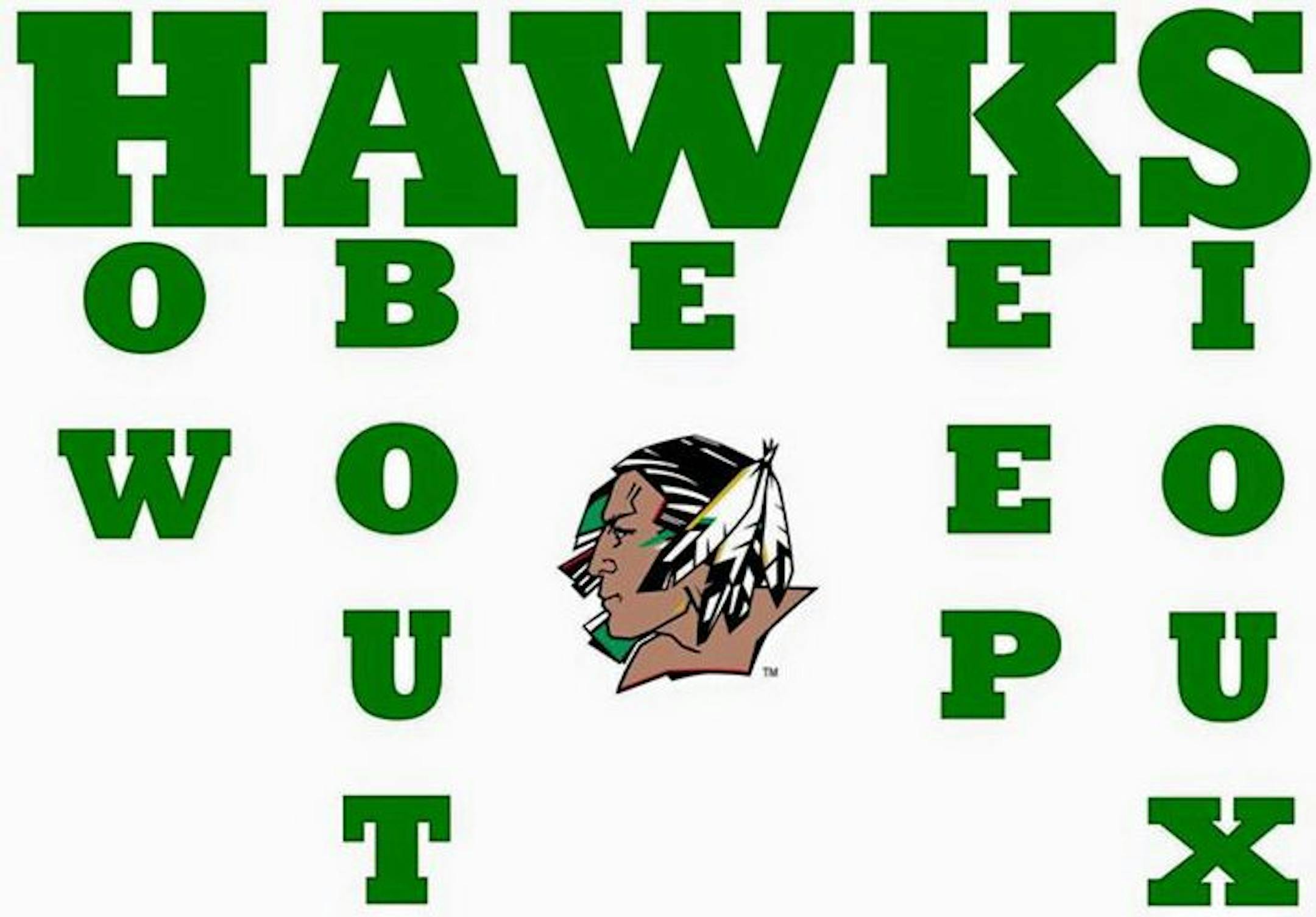 A UND hockey fan&#x2019;s Facebook post spells out feedback about the cool reception to the new nickname.