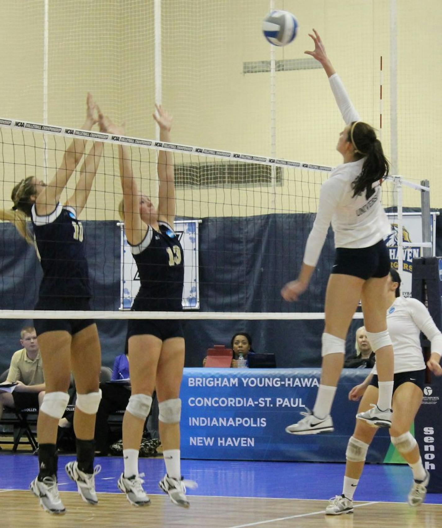 Concordia-St. Paul's Cassie Haag worked high above the net during NCAA Division II tournament play.