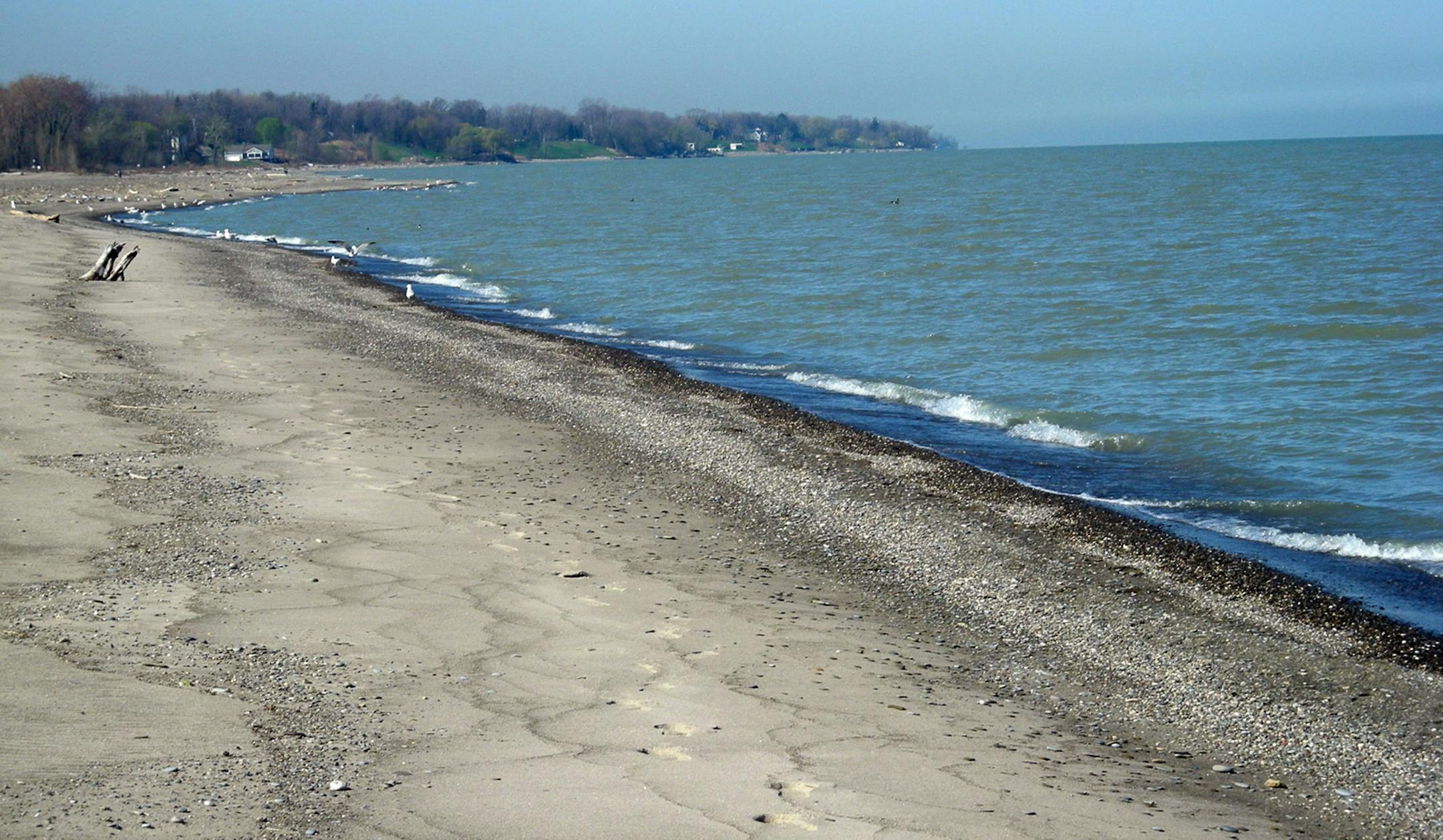 The beach at Headlands Beach State Park is the biggest and best natural sand swimming beach in Ohio. The beach runs more than one mile along the Lake Erie shoreline. (Bob Downing/Akron Beacon Journal/TNS)