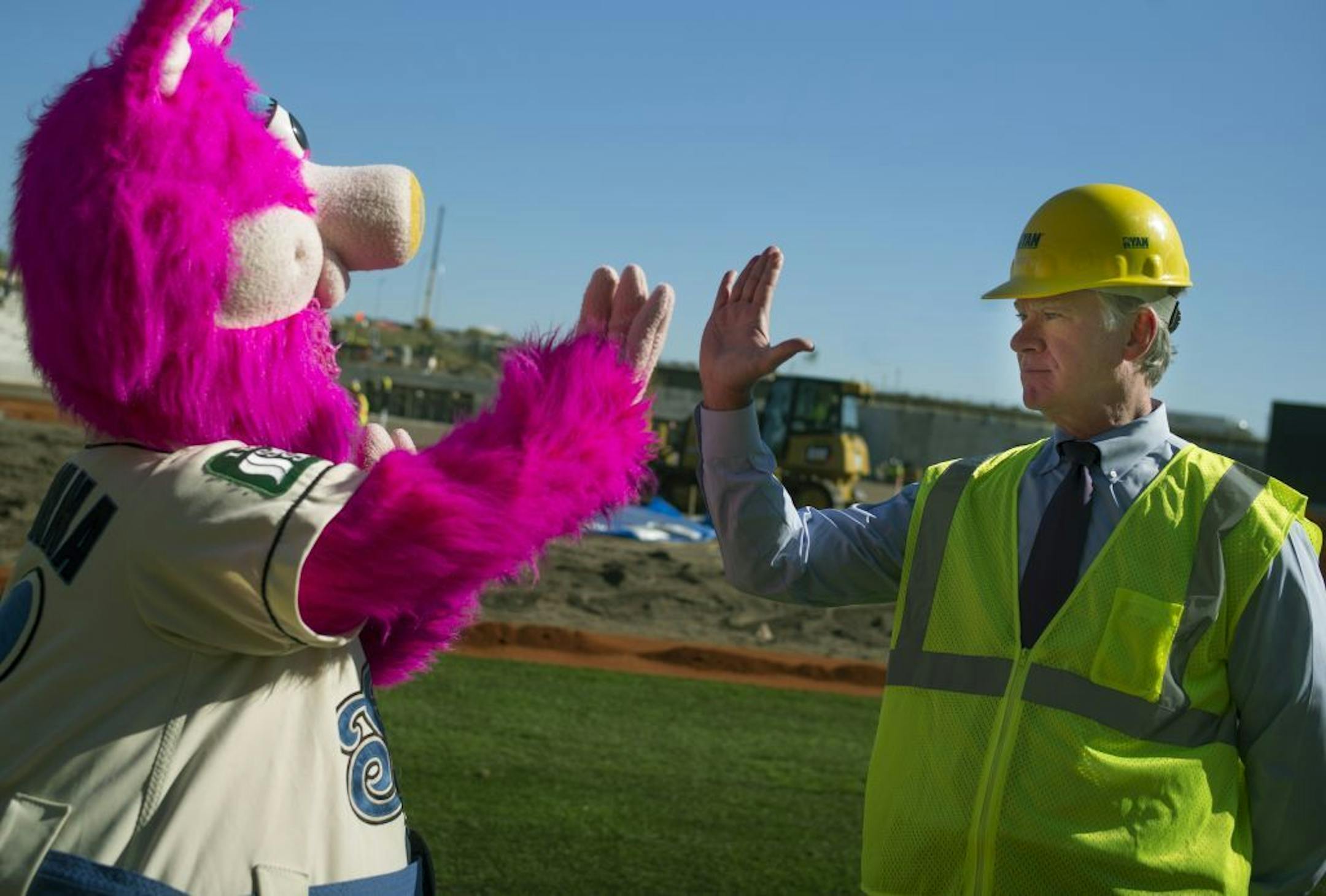 Crews will begin installing 95,000 square feet of specialized sod for the playing field at CHS Field on Wednesday, October 8. Mayor Chris Coleman and the St. Paul Saints mascot Mudonna were present