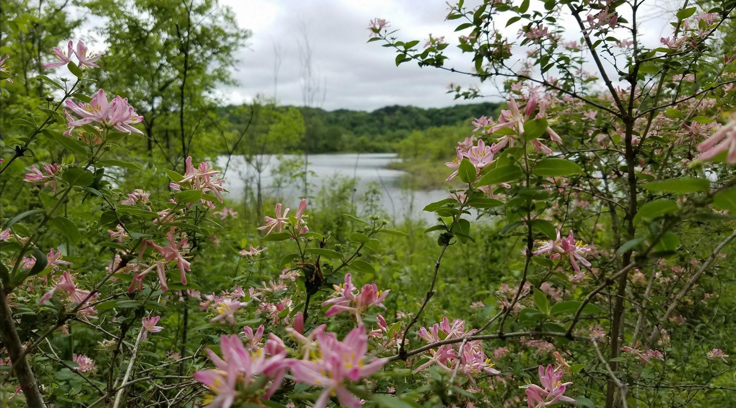 startribune.com - Jp Lawrence - After backlash, developer withdraws gravel mine proposal near Mankato